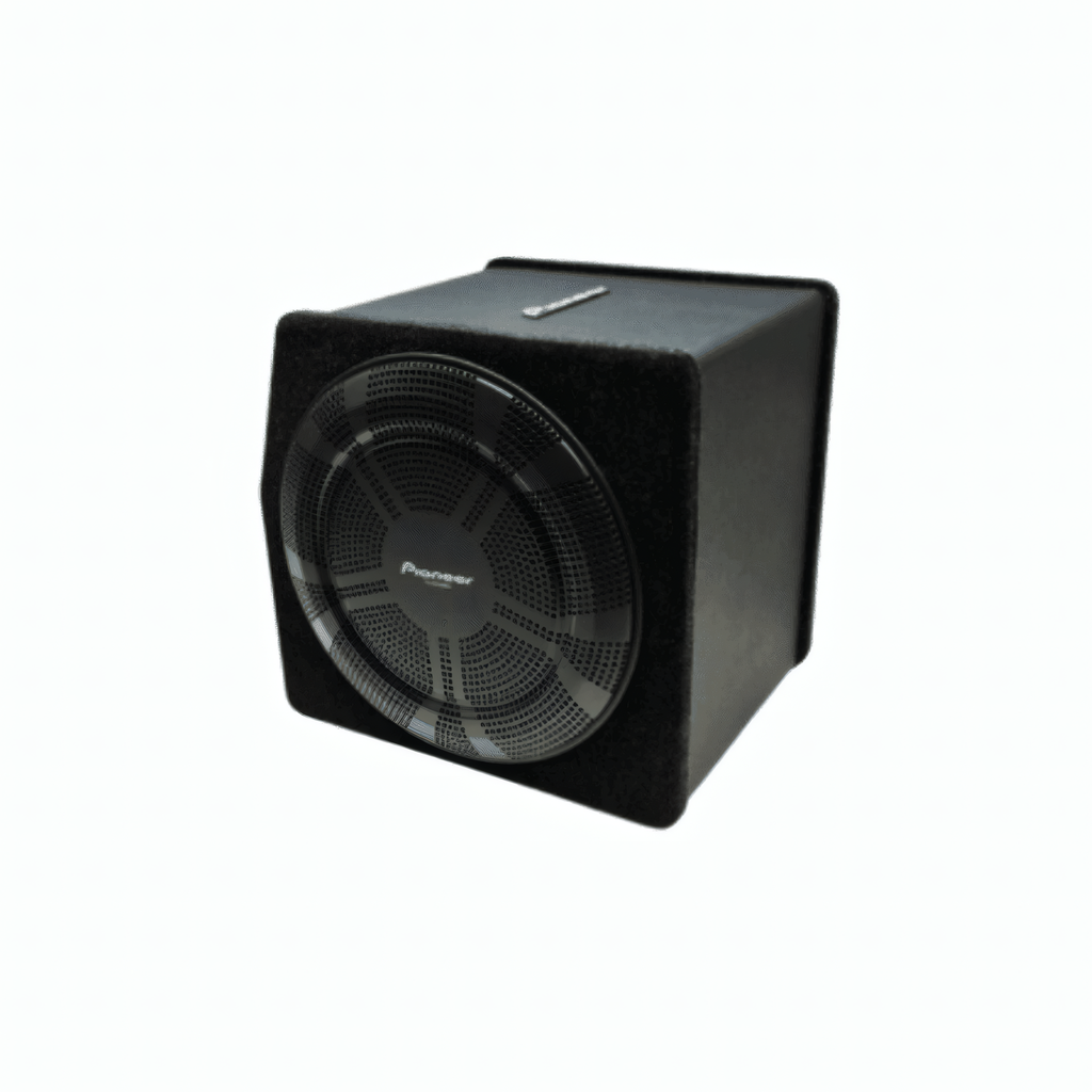 Subwoofer Activo Amplificado Pioneer TS-BW250MA 1200W 10
