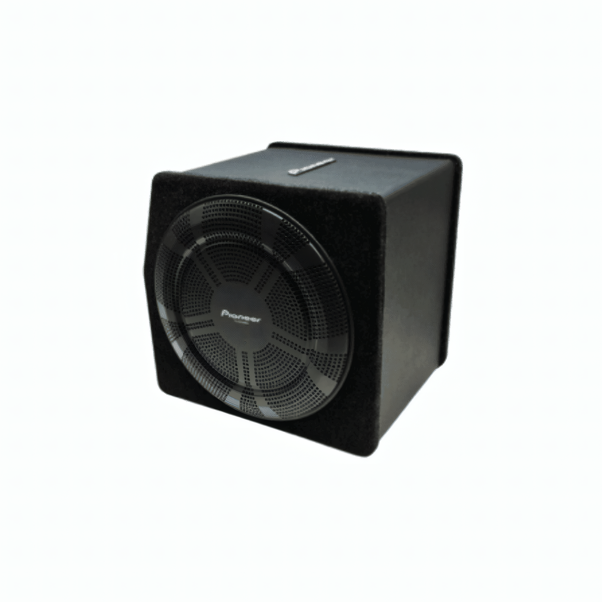 Subwoofer Activo Amplificado Pioneer TS-BW250MA 1200W 10